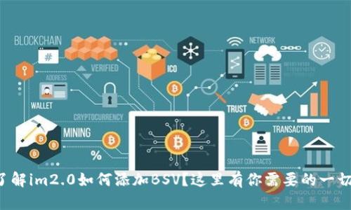 想要了解im2.0如何添加BSV？这里有你需要的一切教程！