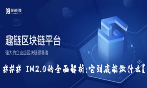 ### IM2.0的全面解析:它到底能做什么?