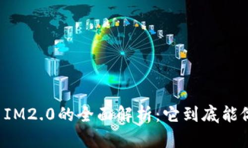 ### IM2.0的全面解析：它到底能做什么？
