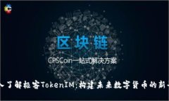 深入了解极客TokenIM：构建
