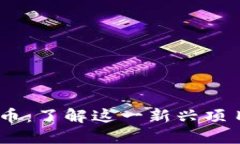 Blitz数字货币：了解这一新