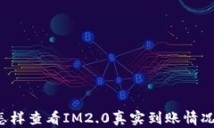 怎样查看IM2.0真实到账情况