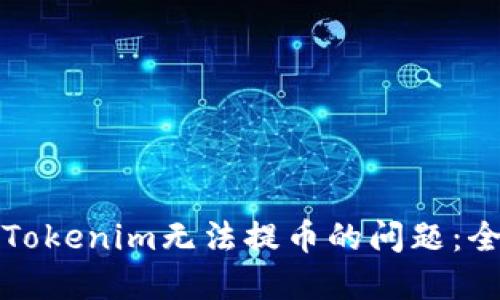 如何解决Tokenim无法提币的问题：全方位指南