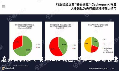 如何在大陆地区下载IM2.0钱包：详细步骤与注意事项