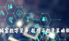 探秘柬埔寨数字货币：技