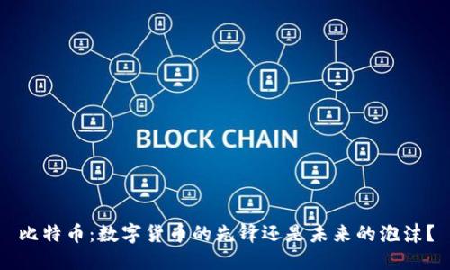 比特币：数字货币的先锋还是未来的泡沫？
