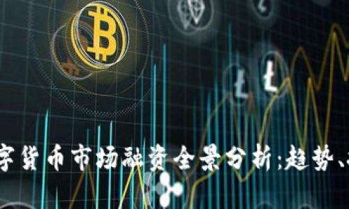 2023年数字货币市场融资全景分析：趋势、挑战与机遇