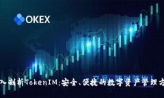 深入剖析TokenIM：安全、便