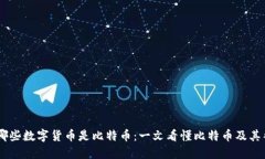 了解哪些数字货币是比特