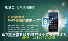 数字货币存放技巧：选择