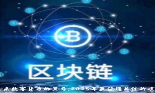   
未来数字货币的黑马：2025年最值得关注的项目