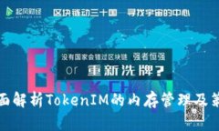 全面解析TokenIM的内存管理及策略