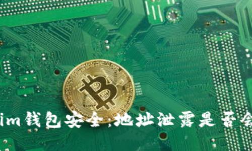 保护你的Tokenim钱包安全：地址泄露是否会导致盗窃风险？