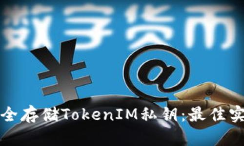 如何安全存储TokenIM私钥：最佳实践指南